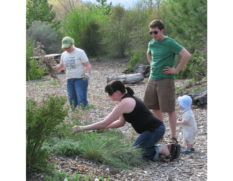 Image for Dig Your Own Native Shrubs event