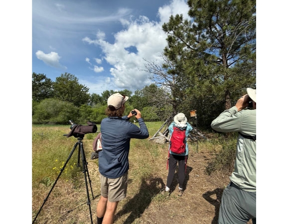 Image for Birding Extravaganza in the Fort Garden and River event