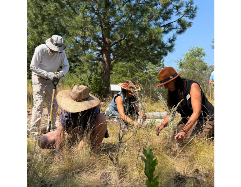 Image for Volunteering at Native Plant Garden at Fort Missoula event