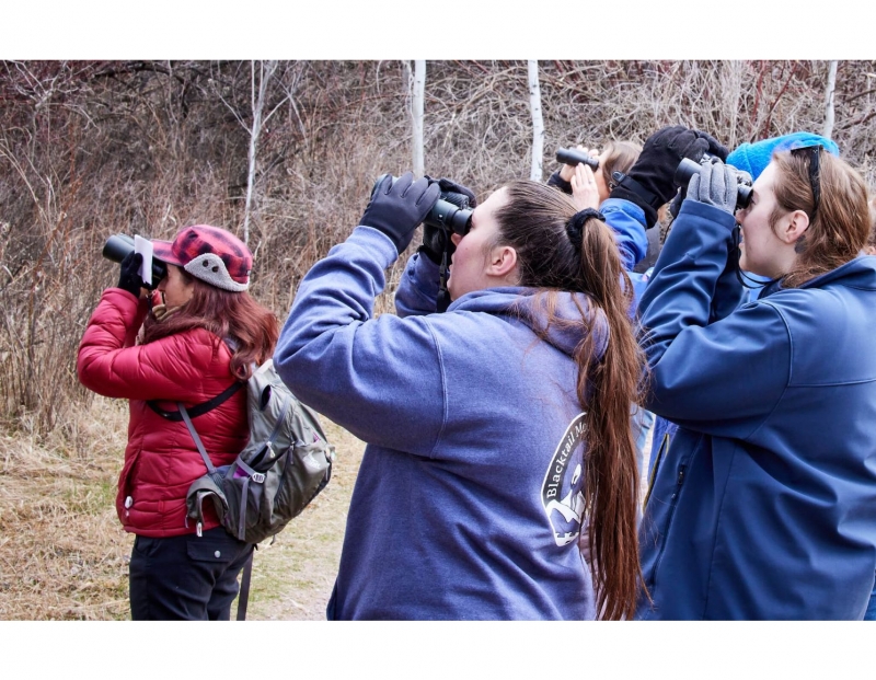MNHC's Birdwatching Club – November MNHC's Birdwatching Club – November