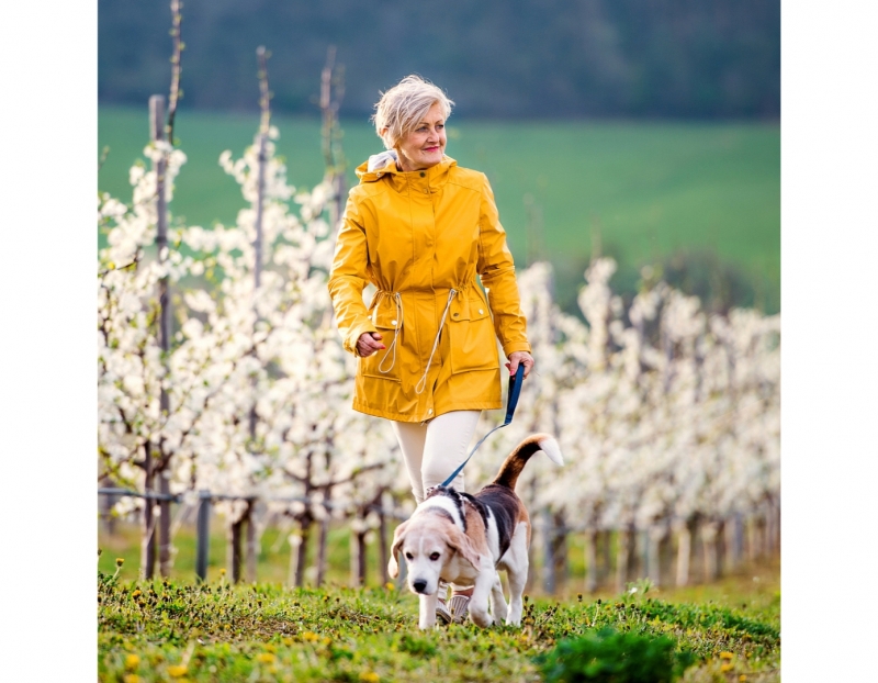 Image for New to Medicare Workshop event