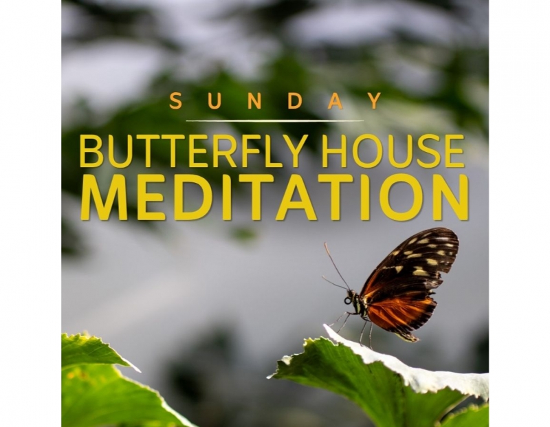 Image for Butterfly Meditation event