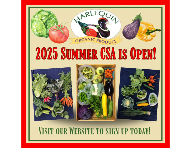 Harlequin Produce Summer CSA Harlequin Produce Summer CSA