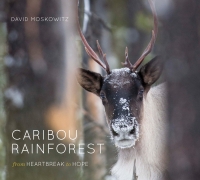Caribou Rainforest: From Heartbreak to Hope Caribou Rainforest: From Heartbreak to Hope