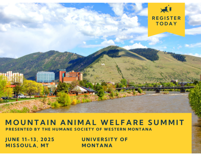 Mountain Animal Welfare Summit Mountain Animal Welfare Summit