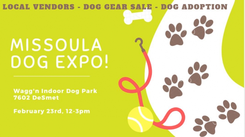 firewind training kennels