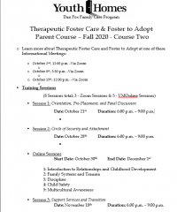 Youth Homes TFC and Foster to Adopt Parenting Course Youth Homes TFC and Foster to Adopt Parenting Course