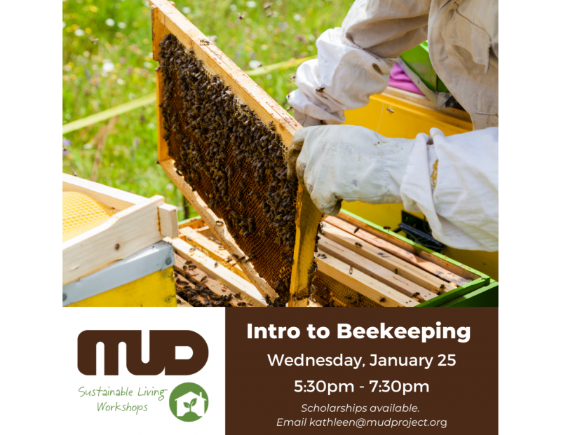 MUD's Intro to Beekeeping Workshop