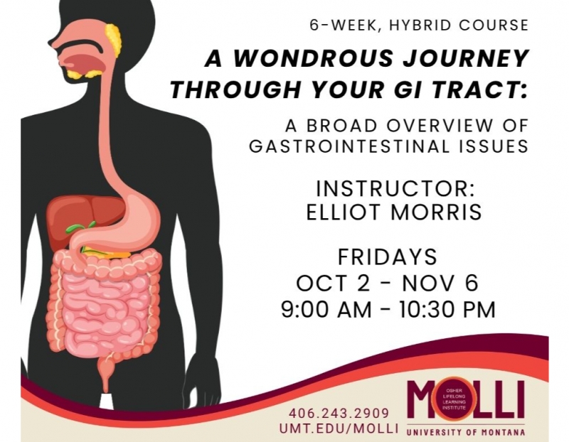 Image for A Wondrous Journey Through Your GI Tract event