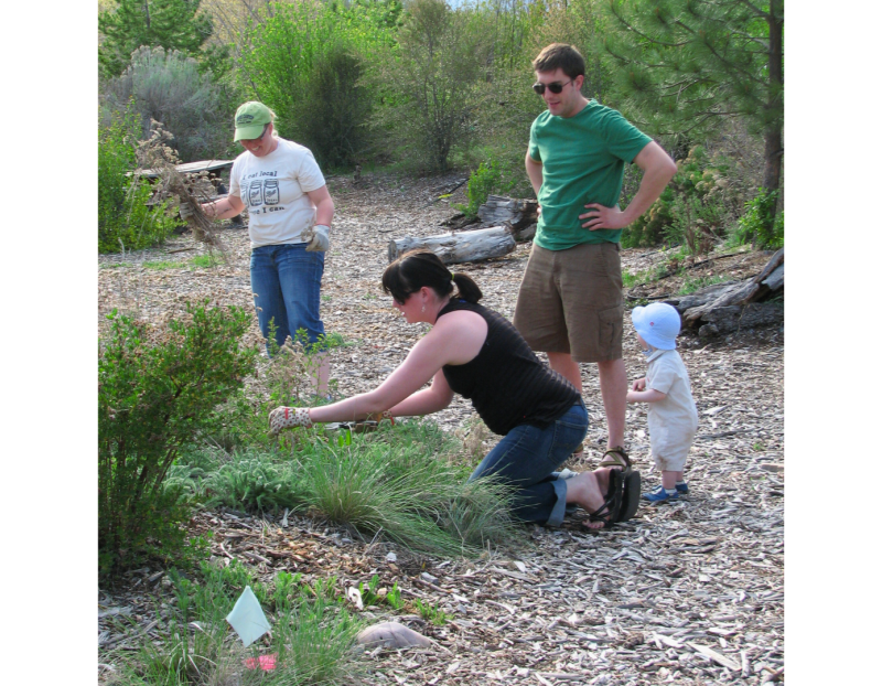 Dig Your Own Native Shrub Sale Dig Your Own Native Shrub Sale