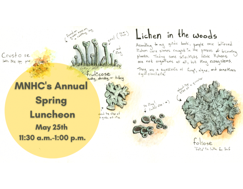 MNHC's Spring Luncheon