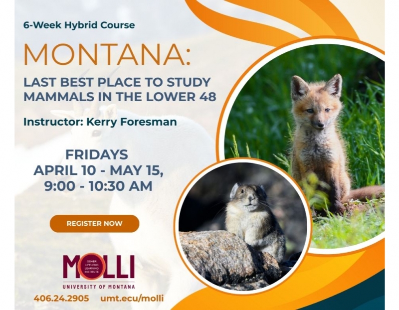Image for Montana: Last Best Place to Study Animals in the Lower 48 event