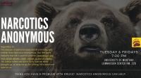 Narcotics Anonymous Meeting Narcotics Anonymous Meeting