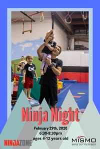 Ninja Night Ninja Night