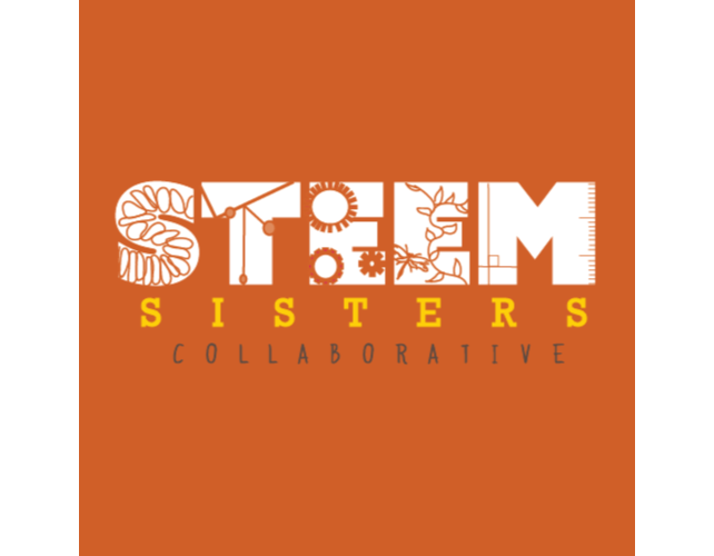 Middle School Girls STEEM Camp: Sustainability