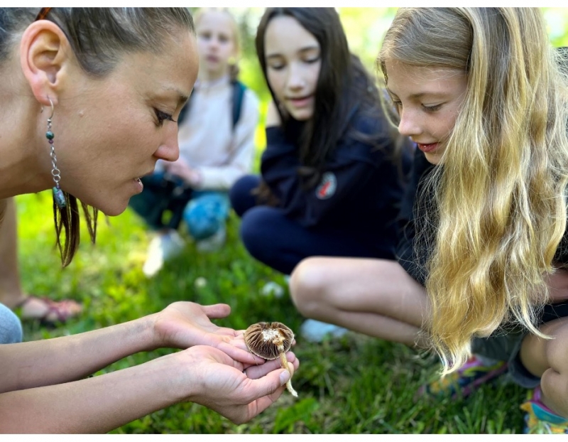 Image for STEEM! Science & Nature Week for Middle Schoolers event