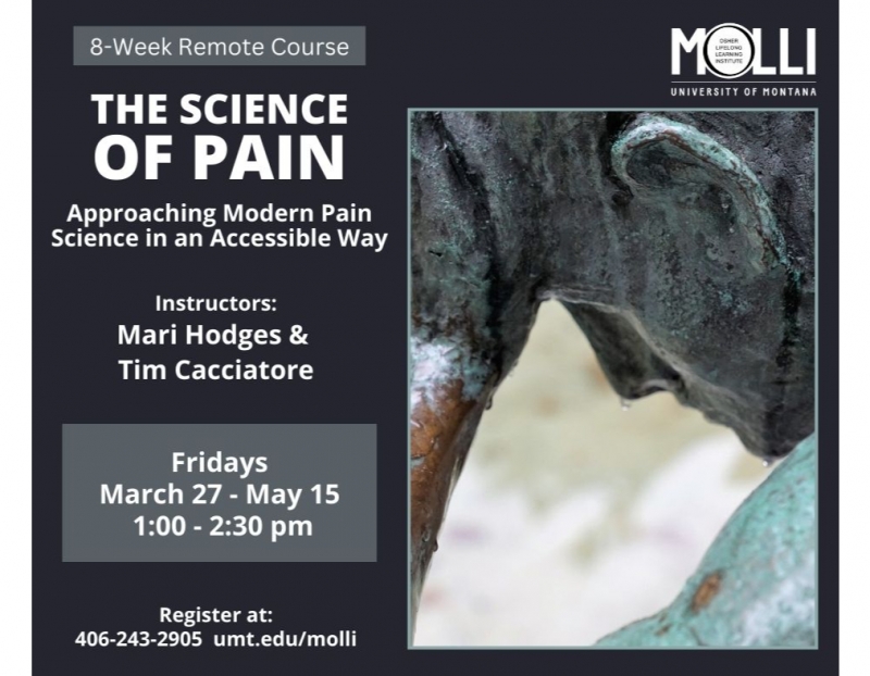 Image for The Science of Pain event