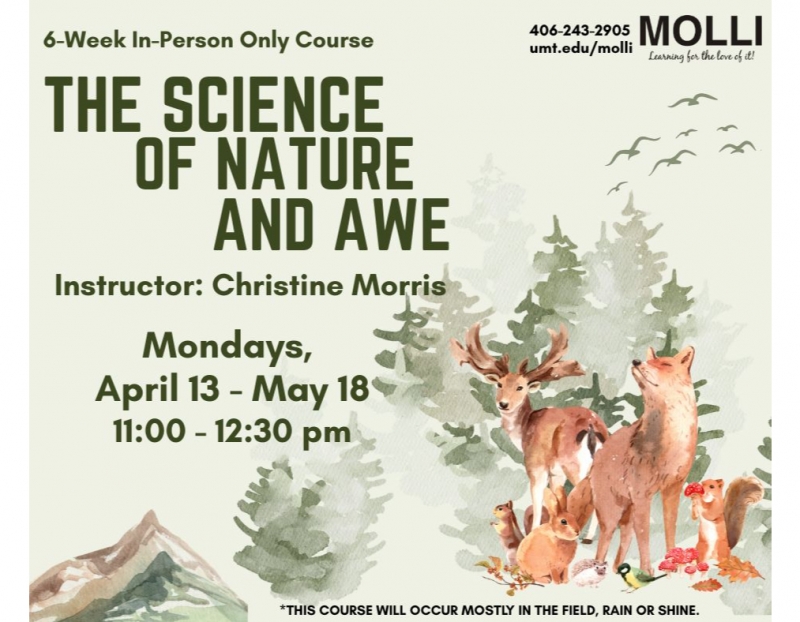 Image for The Science and Nature of Awe event