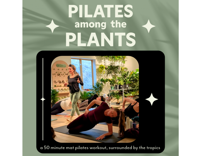 Pilates Among the Plants Pilates Among the Plants