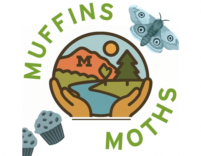 Image for Missoula Villages: Muffins & Moths at the Butterfly House and Insectarium event