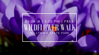 Wildflower Walk at Milltown State Park Wildflower Walk at Milltown State Park