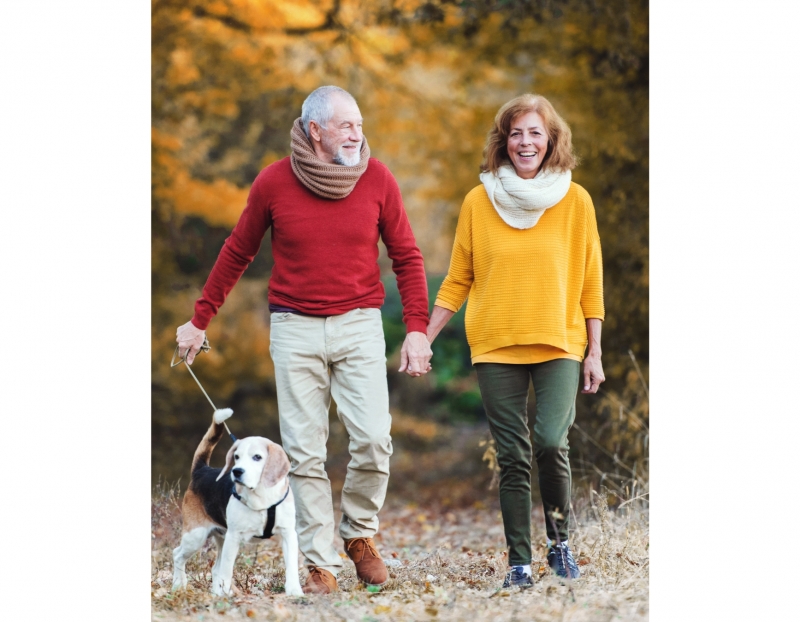 Image for A Matter of Balance: Falls Prevention Program event