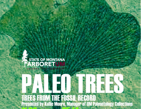 Paleo Trees Tour at the SoMA