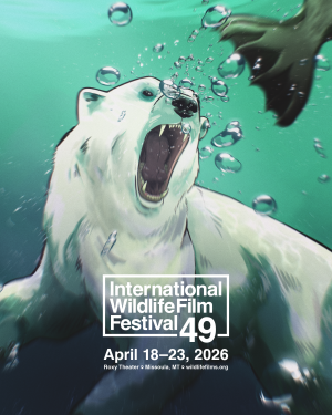 International Wildlife Film Festival
