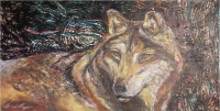 Wolf & the Moons Wolf & the Moons