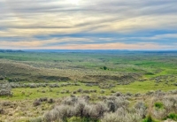 Region 4 (North-central Montana)
