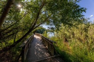 Spring Meadow Lake State Park