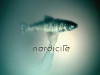 Nordicite, Meeting point Nordicite, Meeting point