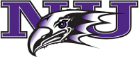 Women's Lacrosse Niagara University Purple Eagles Women's Lacrosse Niagara University Purple Eagles