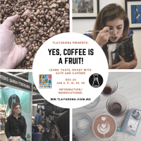 Yes, Coffee is a Fruit / Si, El cafe es una fruta Yes, Coffee is a Fruit / Si, El cafe es una fruta