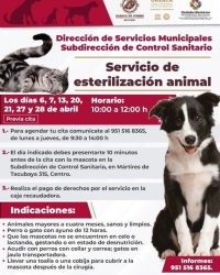 Pet Sterilization / Servicio de esterilización animal Pet Sterilization / Servicio de esterilización animal