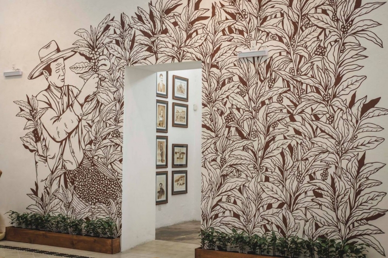Exquisite Coffee Obsession: Mario Ramirez Bahena Collection Exquisite Coffee Obsession: Mario Ramirez Bahena Collection