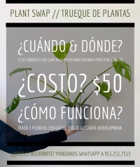 Plant Swap / Trueque de plantas Plant Swap / Trueque de plantas