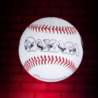 Guerreros Baseball/Beisbol Guerreros Baseball/Beisbol