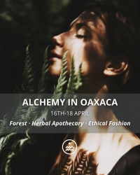 Alchemy in Oaxaca: A Plant-Based Journey / Alquimia en Oaxaca... Alchemy in Oaxaca: A Plant-Based Journey / Alquimia en Oaxaca...