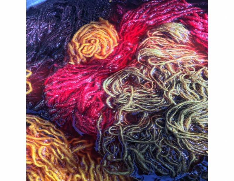 Dyeing and Weaving- Teotitlán (Two-Day Workshop)