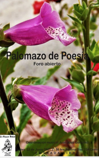 Poetry & Open Mike Night / Palomazo de Poesia Poetry & Open Mike Night / Palomazo de Poesia