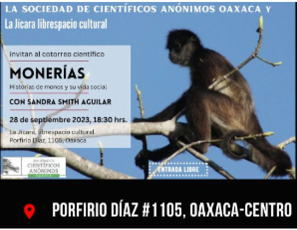 Discussion of Monos / Monkeys at La Jicara