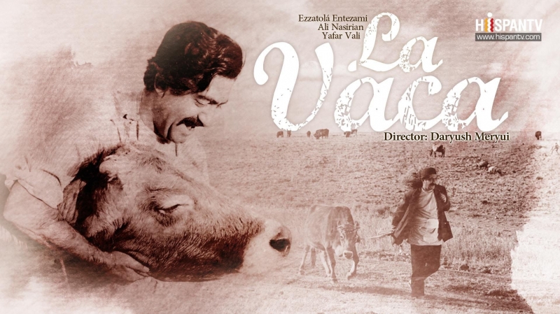 Lost Small World Movie Sub Español