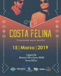 Feline Coast / Costa Felina Feline Coast / Costa Felina