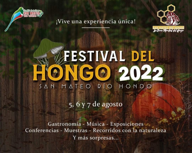 Festival Del Hongo, San Mateo Rio Hondo