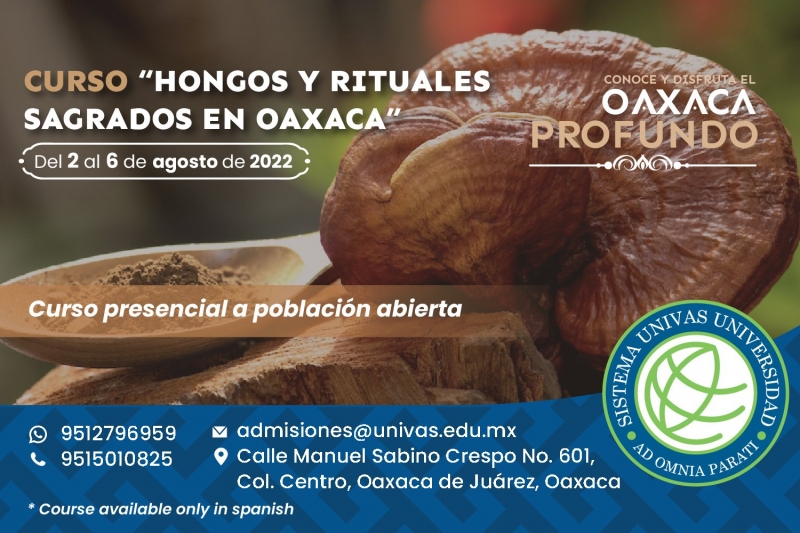 Hongos y rituales sagrados en Oaxaca