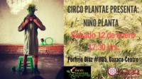 Niño Planta Circus Performance Niño Planta Circus Performance