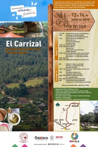El Carrizal: Feria del trigo (Wheat Fair), Villa de Diaz Ordaz El Carrizal: Feria del trigo (Wheat Fair), Villa de Diaz Ordaz