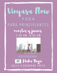 VINYASA FLOW YOGA VINYASA FLOW YOGA