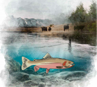 Wildlife Speaker Series - Trout Wildlife Speaker Series - Trout
